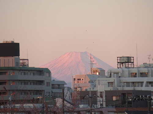 02.jpg