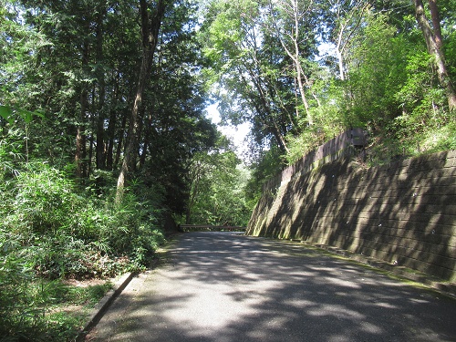 03.jpg