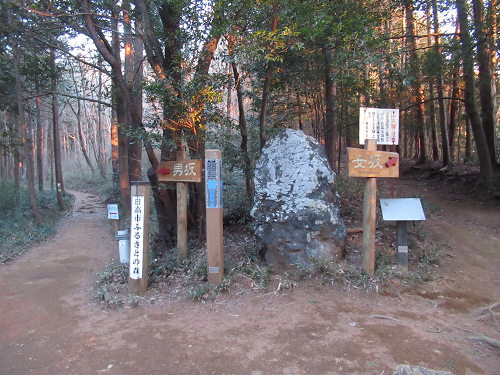 04.jpg