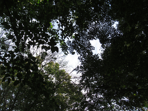 06.jpg